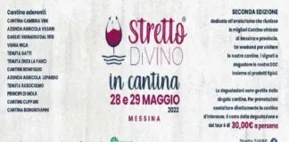 Dopo il successo dello scorso anno torna “Stretto DiVINO… in cantina”, open day nelle cantine più prestigiose del messinese, promosso ed organizzato da Confesercenti Messina