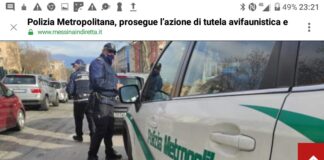 Prosegue l’intensa attività svolta dalla Polizia Metropolitana, su input del Commissario straordinario ing. Leonardo Santoro, nell’ambito della tutela avifaunistica, ambientale e infortunistica stradale