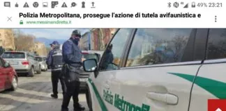 Prosegue l’intensa attività svolta dalla Polizia Metropolitana, su input del Commissario straordinario ing. Leonardo Santoro, nell’ambito della tutela avifaunistica, ambientale e infortunistica stradale