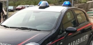 Nella tarda serata di ieri, i Carabinieri della Compagnia Messina Centro hanno arrestato, in flagranza di reato, quattro soggetti messinesi per furto aggravato ai danni di un cantiere navale