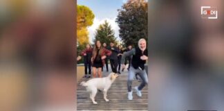 “Se non ballavamo a tempo per i suoi Tik Tok si arrabbiava”