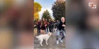 “Se non ballavamo a tempo per i suoi Tik Tok si arrabbiava”