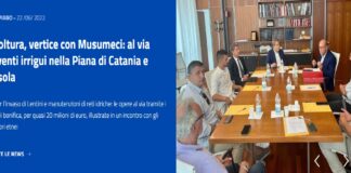 Interventi straordinari per il settore agroalimentare siciliano per 60 milioni di euro: sono quelli destinati dalla Regione Siciliana, con delibera del governo Musumeci