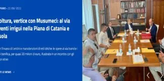 Interventi straordinari per il settore agroalimentare siciliano per 60 milioni di euro: sono quelli destinati dalla Regione Siciliana, con delibera del governo Musumeci