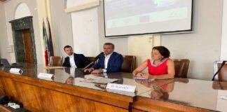 Supportare le piccole e medie imprese nei loro progetti di internazionalizzazione per la crescita, lo sviluppo e la competitività del business sfruttando le opportunità offerte dal digital export