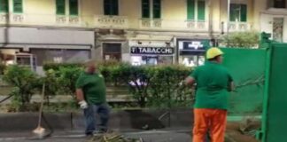 Messinaservizi Bene Comune prosegue la manutenzione e la cura del verde pubblico in città