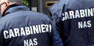 I Carabinieri del NAS di Reggio Calabria, a conclusione di una vasta operazione finalizzata alla tutela della salute e della sicurezza alimentare per l’approssimarsi della stagione estiva e sviluppatasi tra il capoluogo reggino, la piana di Gioia Tauro e la Costa Jonica, hanno sottoposto a sequestro oltre 300 kg di prodotti alimentari privi di tracciabilità