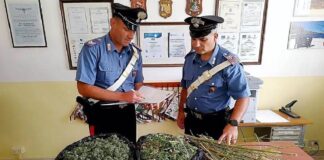 I carabinieri della stazione di Misiliscemi hanno arrestato, per detenzione ai fini di spaccio di sostanze stupefacenti del tipo marijuana, un cittadino straniero di 36 anni