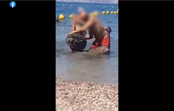 Datteri di mare Castellammare