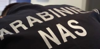 I carabinieri del Nas di Palermo hanno sequestro 16 chili di pesce non tracciato destinato ai passeggeri nel ristorante della nave traghetto della Tirrenia “Vincenzo Florio” che collega Palermo a Napoli