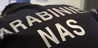 I carabinieri del Nas di Palermo hanno sequestro 16 chili di pesce non tracciato destinato ai passeggeri nel ristorante della nave traghetto della Tirrenia “Vincenzo Florio” che collega Palermo a Napoli