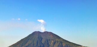 Nell’ambito delle attività connesse al sistema sperimentale di allertamento rapido per esplosioni parossistiche e maremoti generati da attività vulcaniche di Stromboli, i responsabili della Presidenza del Consiglio – Dipartimento della Protezione Civile si sono impegnati con i componenti dell’Istituto Nazionale di Geofisica e Vulcanologia ad installare presso il Centro Operativo Avanzato esistente sulla citata Isola eoliana, un proprio sistema informatico che comunicherà, da un lato con il sistema di elaborazione dati del monitoraggio dei Centri di Competenza e dall’altro con gli avvisatori acustici installati nel comune di Lipari