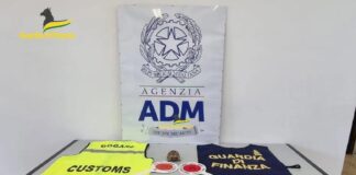 I funzionari dell’Ufficio delle Dogane e gli appartenenti alla Guardia di Finanza di Palermo, hanno scoperto una tartaruga di specie protetta che stava per essere immessa nel mercato da una donna tunisina