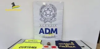 I funzionari dell’Ufficio delle Dogane e gli appartenenti alla Guardia di Finanza di Palermo, hanno scoperto una tartaruga di specie protetta che stava per essere immessa nel mercato da una donna tunisina