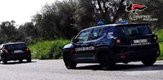 Nei giorni addietro, a Delianuova, i carabinieri unitamente ai militari dello Squadrone Cacciatori “Calabria”, hanno arrestato una persona residente nel luogo