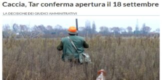 Il presidente della terza sezione del Tar di Palermo non ha accolto la richiesta di sospensiva presentata dal Wwf, Legambiente e Lipu contro il decreto emanato dall’assessorato regionale all’agricoltura sulla preapertura della caccia