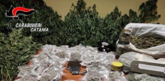 I Carabinieri della Stazione di Granieri, con il supporto dei colleghi dello Squadrone Eliportato “Cacciatori di Sicilia”, hanno arrestato un 42enne del posto nella flagranza del reato