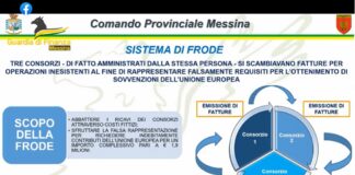 I Finanzieri del Comando Provinciale di Messina hanno dato esecuzione ad un decreto di sequestro conservativo emesso dalla Sezione Giurisdizionale della Corte dei Conti di Palermo, per un’ipotesi di danno erariale conseguente a episodi di indebita percezione di finanziamenti dell’Unione Europea, erogati quali aiuti e sovvenzioni a società attive nel settore dell’agricoltura