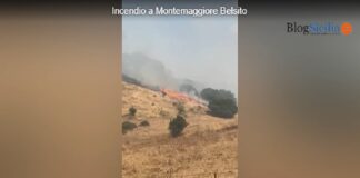 Fiamme e residenti evacuati nella notte nelle colline attorno a Palermo: una lunga notte di fuoco a Poggio Ridente, Poggio San Francesco e ancora nella discarica di Bellolampo
