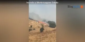 Fiamme e residenti evacuati nella notte nelle colline attorno a Palermo: una lunga notte di fuoco a Poggio Ridente, Poggio San Francesco e ancora nella discarica di Bellolampo