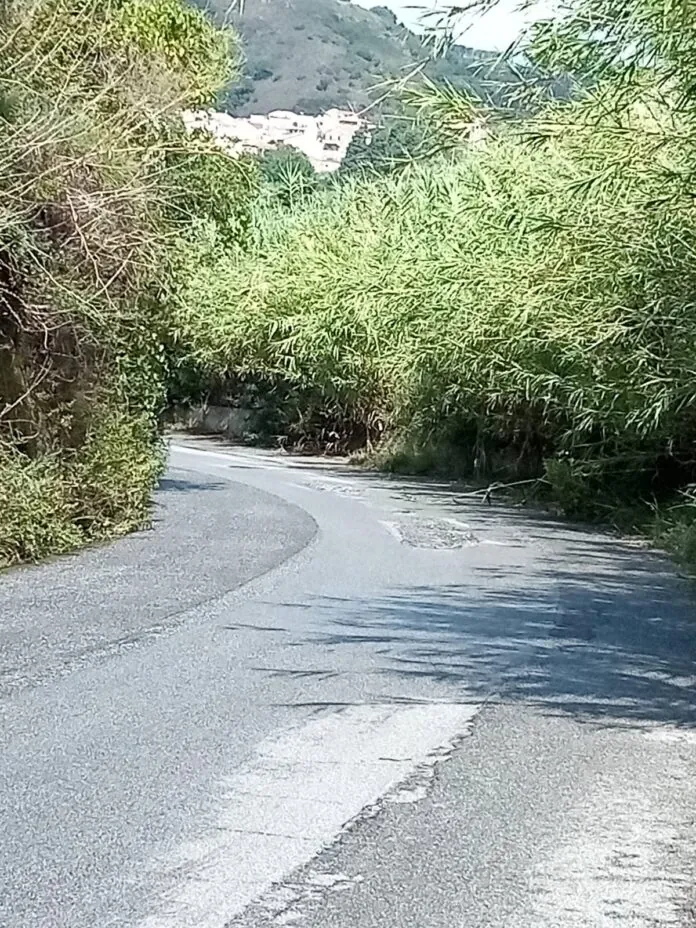 Pagano PROVINCE