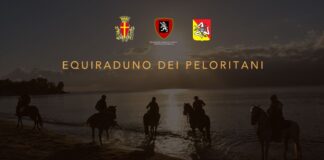 Domani, mercoledì 21, alle ore 10, nella Sala Ovale di Palazzo Zanca, alla presenza del Sindaco Federico Basile, sarà illustrata nel corso di una conferenza stampa, cui prenderà parte l’Assessore alla Valorizzazione e Promozione del Patrimonio Fortificato di Messina Vincenzo Caruso, la XVI edizione della manifestazione “Equiraduno sui Peloritani. La Via dei Forti della Città dello Stretto”