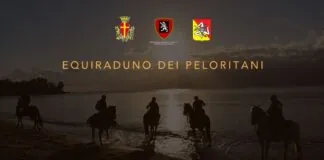 Domani, mercoledì 21, alle ore 10, nella Sala Ovale di Palazzo Zanca, alla presenza del Sindaco Federico Basile, sarà illustrata nel corso di una conferenza stampa, cui prenderà parte l’Assessore alla Valorizzazione e Promozione del Patrimonio Fortificato di Messina Vincenzo Caruso, la XVI edizione della manifestazione “Equiraduno sui Peloritani. La Via dei Forti della Città dello Stretto”