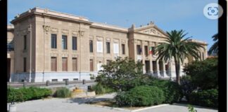 Gli iscritti nelle liste elettorali del Comune di Messina possono verificare la sezione presso la quale esercitare il diritto di voto in occasione delle elezioni del 25 settembre 2022