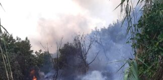 “L’incendio è stato domato”