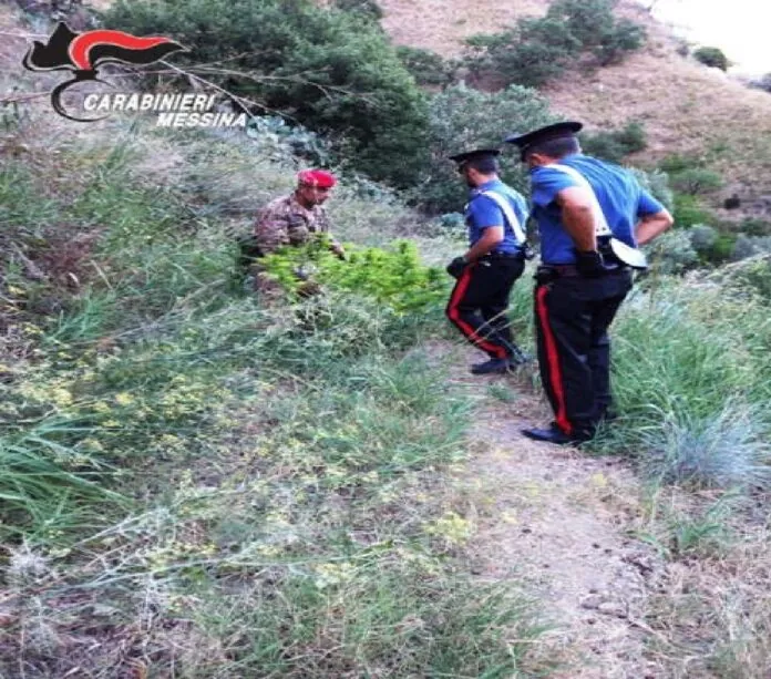 Marijuana Carabinieri Messina