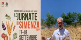 Ricotta di pecora, farina di Maiorca, crema mandorle, per un grande classico della pasticceria coniugato in siciliano