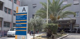 Il conducente di un mezzo datosi alla fuga, stamane in via La Farina angolo via San Cosimo a Messina, ha travolto un pedone 87enne