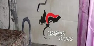 Per 22 anni questa era la “vasca” dove le sarebbe stato concesso di lavarsi una volta al mese… niente acqua calda… niente bagno