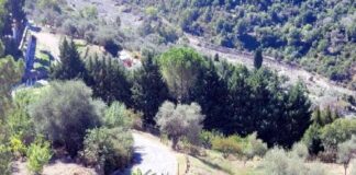 I responsabili della Regione Siciliana, hanno finanziato attraverso la Struttura di contrasto al dissesto idrogeologico, interventi per complessivi 4,3 milioni di euro al fine di consentire la piena e sicura fruibilità di due aree del centro abitato di Alcara Li Fusi, nel Messinese