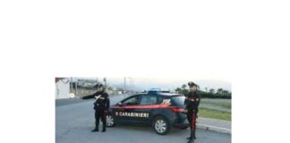 I Carabinieri della Stazione di Limbadi, della Stazione Forestale di Spilinga e dello Squadrone Cacciatori nell’ambito delle continue attività volte a prevenire e contrastare la produzione e il traffico di sostanze stupefacenti sono entrati in azione procedendo al controllo di una azienda agricola, in agro di San Calogero, autorizzata alla produzione e commercializzazione della canapa indiana c.d. legale