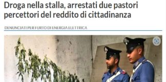 I carabinieri della stazione di Grisì in territorio tra Partinico e Monreale (Pa) hanno arrestato due pastori percettori del reddito di cittadinanza di 65 anni e di 37 anni, accusati di detenzione ai fini di spaccio di sostanze stupefacenti