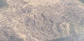 Un canadair della Protezione civile in servizio in Sicilia durante le operazioni di spegnimento di un incendio in territorio di Linguaglossa nel Catanese è precipitato durante la fase di caricamento dell’acqua