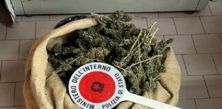 Continuano i servizi degli agenti della Polizia di Stato volti al contrasto dell’attività di spaccio di sostanze stupefacenti nell’intera provincia di Crotone