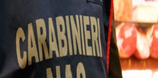 A partire dalla fine dell’estate, i militari del N.a.s. di Palermo, nell’ambito di una strategia disposta dal Gruppo Carabinieri per la Tutela della Salute di Napoli, mirata alla vigilanza sul rispetto delle normative a tutela della salute dei cittadini nelle attività di ristorazione dei centri storici, luoghi di abituale frequentazione dei turisti e dei giovani, hanno ispezionato, con la collaborazione dei Comandi territoriali dell’Arma, numerosi pub, pizzerie e ristoranti del capoluogo siciliano