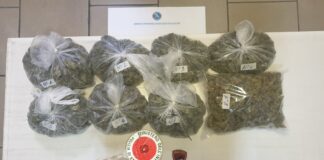 Nel corso dei servizi predisposti per contrastare il fenomeno dello spaccio di stupefacenti nel capoluogo, le volanti dell’Ufficio Prevenzione Generale e Soccorso Pubblico hanno setacciato il centro storico, ove in più occasioni sono state sequestrate a tossicodipendenti dosi di droga appena acquistate, effettuando dei controlli nei luoghi solitamente utilizzati dagli spacciatori per occultare la sostanza