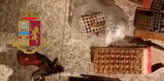 Personale della Squadra Mobile di Vibo Valentia ha effettuato delle perquisizioni presso alcune abitazioni in Paravati, sequestrando circa 20 grammi di marijuana e due piante di canapa