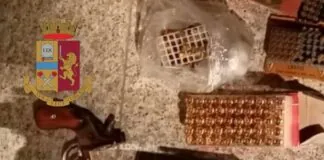 Personale della Squadra Mobile di Vibo Valentia ha effettuato delle perquisizioni presso alcune abitazioni in Paravati, sequestrando circa 20 grammi di marijuana e due piante di canapa