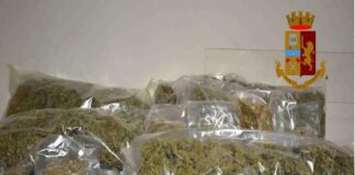 Nell’ambito di mirati servizi finalizzati al contrasto del fenomeno dello spaccio di sostanze stupefacenti nel territorio ibleo, lo scorso giovedì personale del Commissariato di P.S. di Vittoria ha tratto in arresto C.V. classe 1970 per i reati di produzione e detenzione ai fini di spaccio di sostanze stupefacenti e porto abusivo di arma clandestina con relativo munizionamento