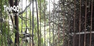 Dramma della solitudine in via Salandra: il cadavere di un clochard 57enne ungherese è stato trovato dalla Polizia municipale e dalla polizia di Stato, che stanno verificando le cause del decesso