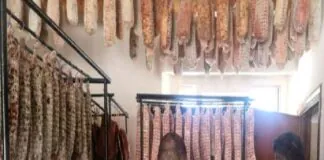 Due laboratori di analisi privati risultati non autorizzati, che producevano falsi referti attestanti parametri analitici e microbiologici non veritieri in quanto basati su analisi mai eseguite sugli alimenti, sono stati scoperti dai carabinieri del Nas a Palermo nell’ambito della campagna di controlli sulla listeria