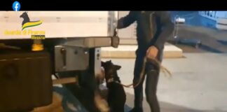 Lo Stretto di Messina ancora protagonista nel maxi-sequestro di Kg. 9,2 di cocaina e Kg. 11 di marijuana, effettuato dai Finanzieri del Comando Provinciale di Messina nella notte del 16 novembre scorso