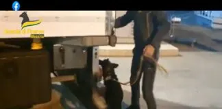 Lo Stretto di Messina ancora protagonista nel maxi-sequestro di Kg. 9,2 di cocaina e Kg. 11 di marijuana, effettuato dai Finanzieri del Comando Provinciale di Messina nella notte del 16 novembre scorso