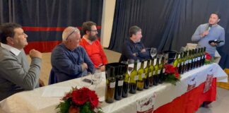 11-12-13 novembre si è svolta a San Marco d’Alunzio la Prima Edizione di San Martino nel Borgo: sono stati 3 giorni caratterizzati da allegria, arte e sapori in un contesto a dir poco affascinante, al quale hanno contribuito 3 rinomate cantine Siciliane, Morgante, Mandrarossa e Serafica che accompagnate dalla cucina dei ristoratori e dei commercianti Aluntini hanno deliziato il palato degli intervenuti con i loro vini