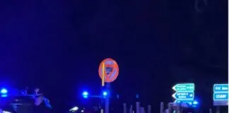 Nella giornata di ieri, i Carabinieri della Compagnia di Santo Stefano di Camastra hanno intensificato la vigilanza nei comuni di Cesarò, San Teodoro e San Fratello, predisponendo mirati controlli volti a contrastare reati in genere soprattutto quelli di tipo predatorio e quelli connessi al traffico di sostanze stupefacenti
