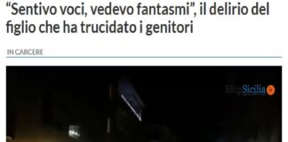 Dopo un delirante racconto di voci e fantasmi, Salvatore Seidita, 34 anni, non ha tecnicamente confermato di aver ucciso con una mannaia da macellaio i propri genitori, Giuseppe Sedita e Rosa Sardo a Racalmuto, nell’Agrigentino